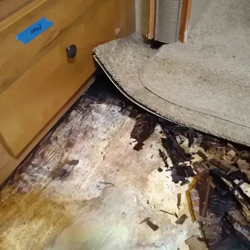 Wood Floor Water Damage in Woodstock, IL